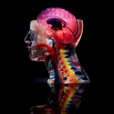 usp medical